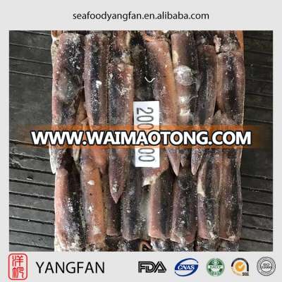 Frozen good quality argentina illex squid with whole round 100-150,150-200,200-300,300-400,400-600