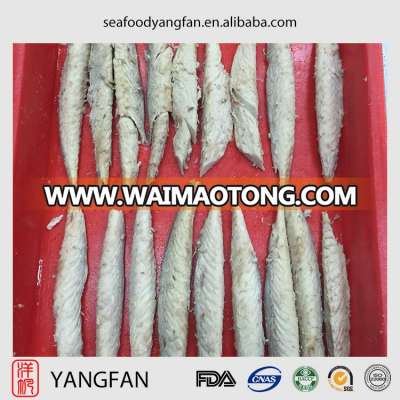 Frozen precooked mackerel loin for sale with scomber japonicus from China